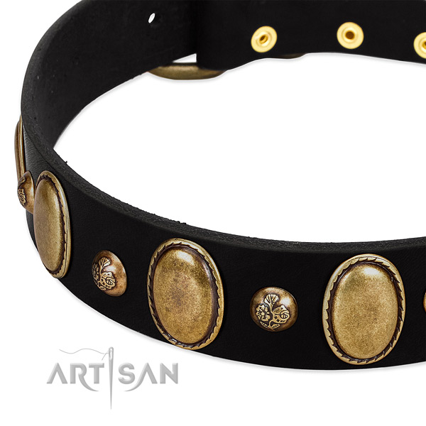 Leather dog collar with extraordinary studs