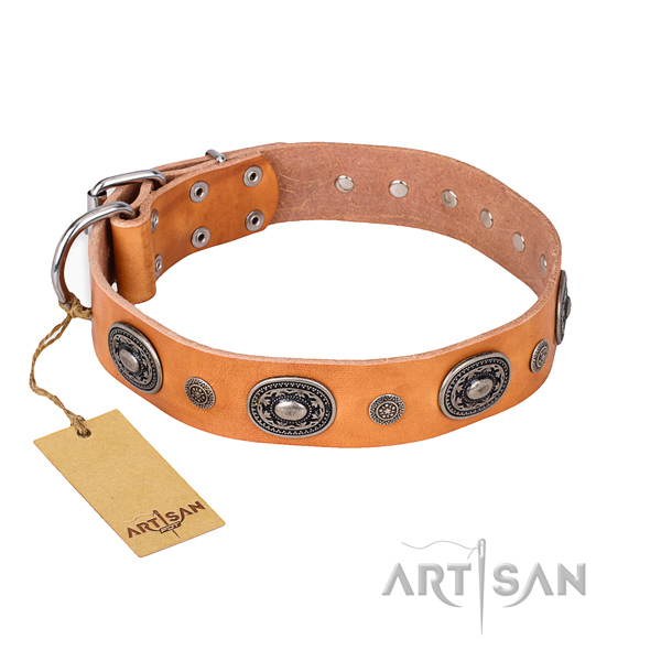Top notch leather collar created for your dog