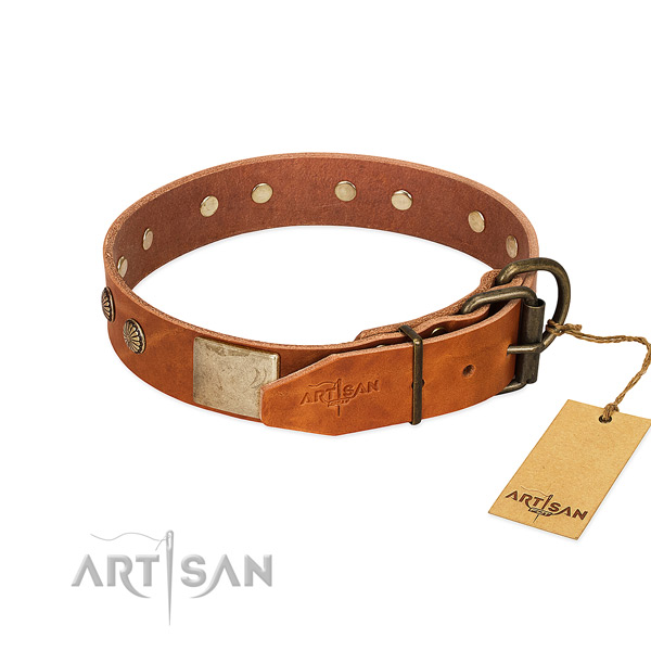 Rust resistant D-ring on comfortable wearing dog collar