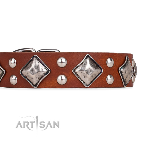Genuine leather dog collar with incredible strong studs