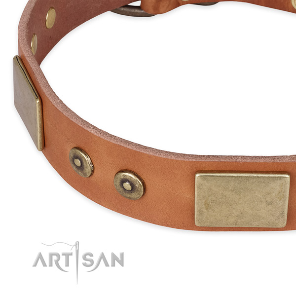 Reliable buckle on leather dog collar for your dog