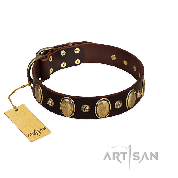 Leather dog collar of soft material with unusual studs