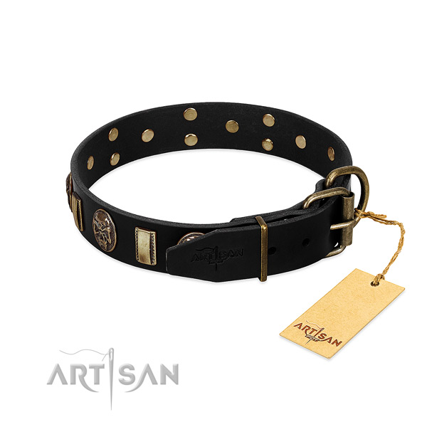 Full grain natural leather dog collar with corrosion proof hardware and studs