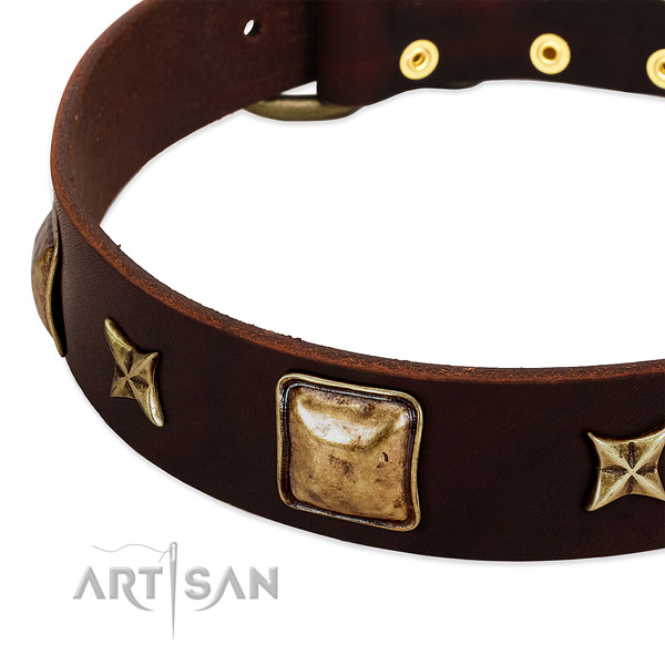 Durable studs on full grain genuine leather dog collar for your pet