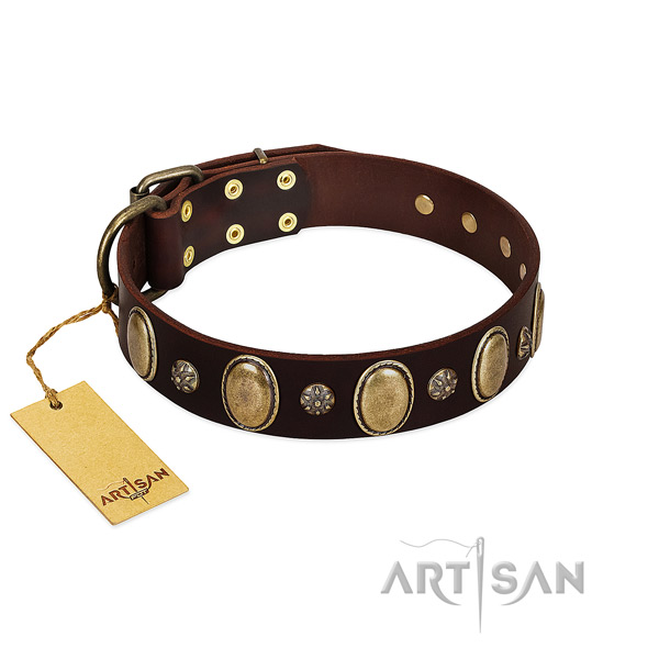 Daily walking best quality full grain genuine leather dog collar with embellishments