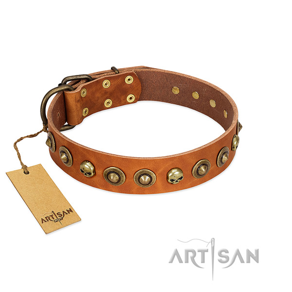 Full grain natural leather collar with amazing studs for your pet