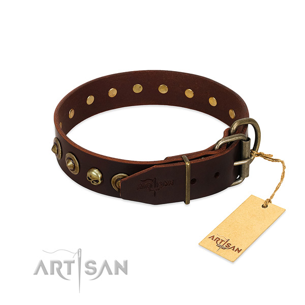 Leather collar with trendy studs for your doggie