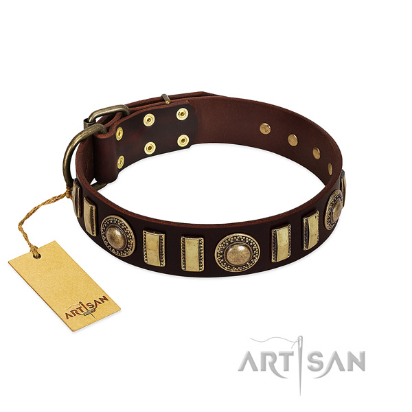 Gentle to touch full grain genuine leather dog collar with strong traditional buckle