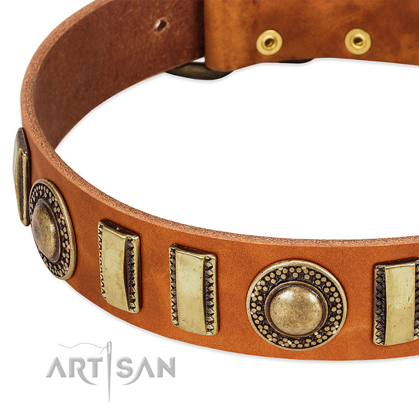 Top rate natural leather dog collar with rust resistant D-ring