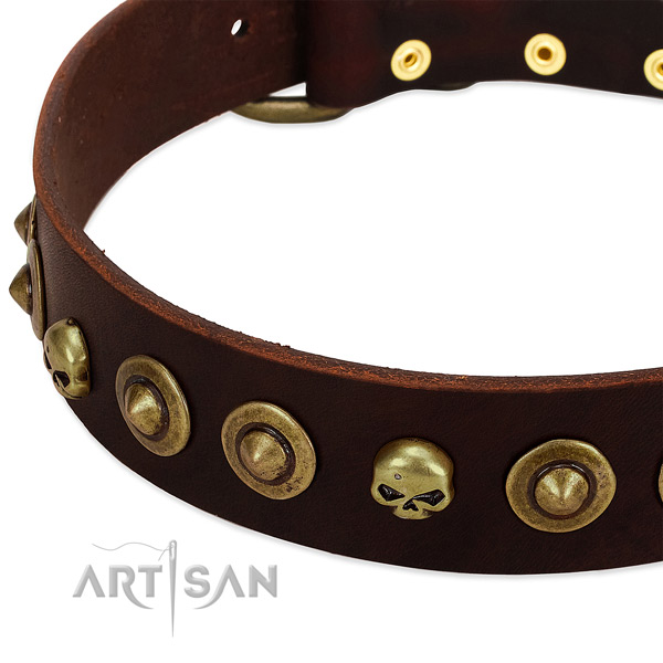 Trendy decorations on full grain genuine leather collar for your canine