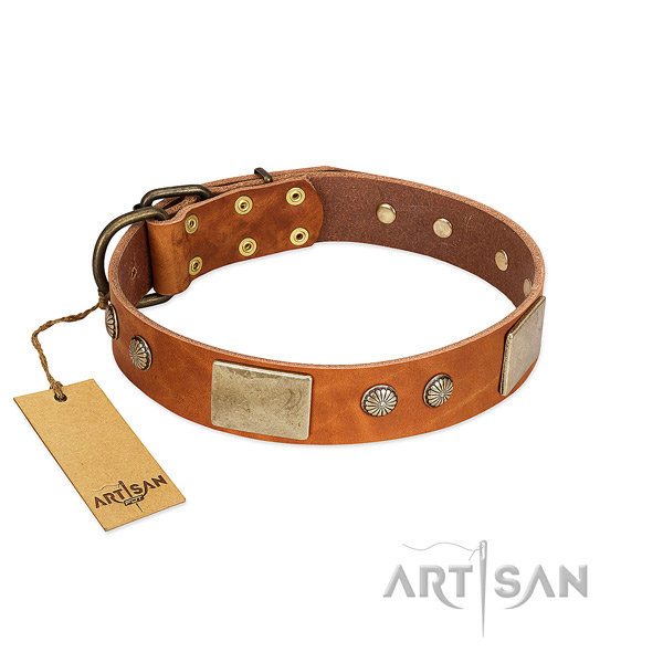 Easy wearing natural genuine leather dog collar for basic training your canine