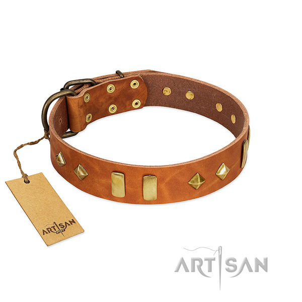 Walking high quality full grain leather dog collar with adornments