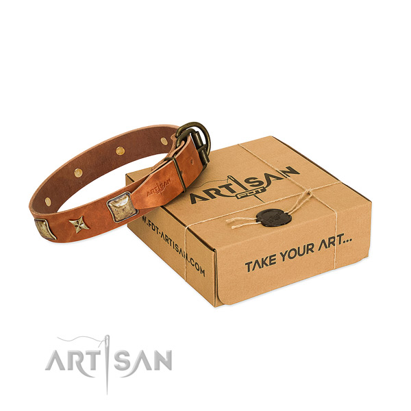 Impressive natural genuine leather collar for your attractive four-legged friend