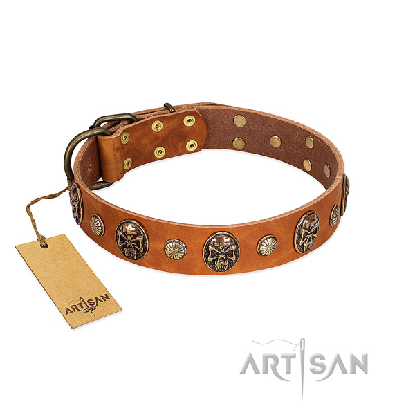 Inimitable natural genuine leather dog collar for walking