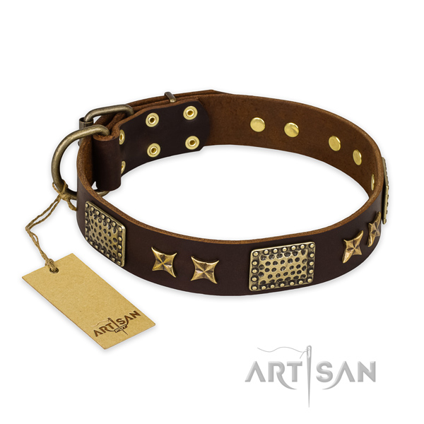 Exceptional genuine leather dog collar with reliable D-ring