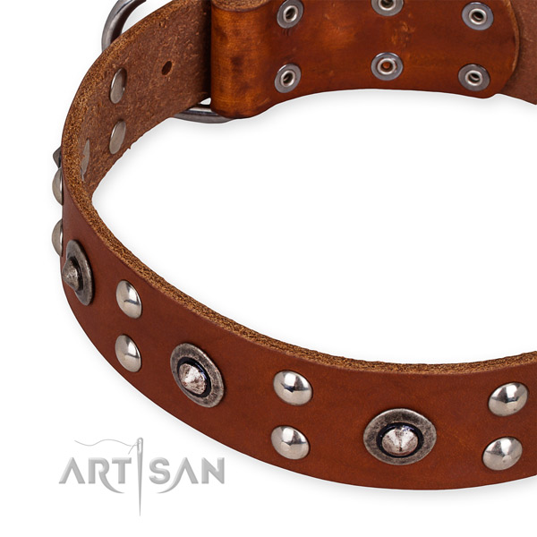 Full grain genuine leather collar with strong fittings for your attractive doggie