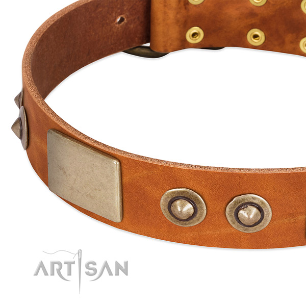 Reliable decorations on full grain genuine leather dog collar for your pet
