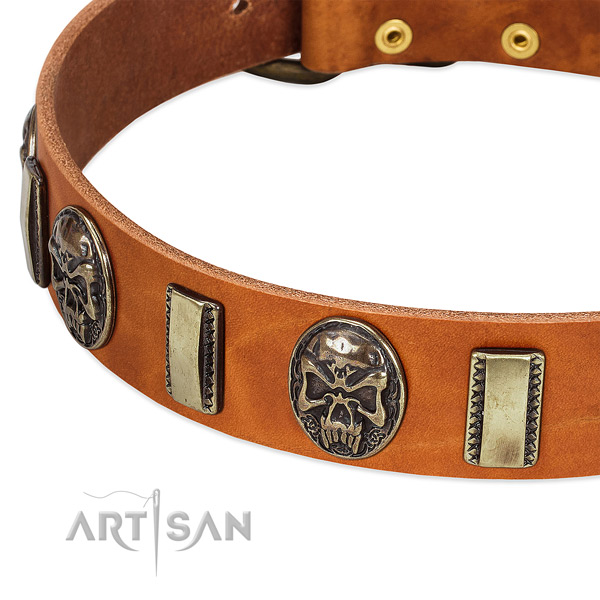 Corrosion proof fittings on full grain genuine leather dog collar for your dog