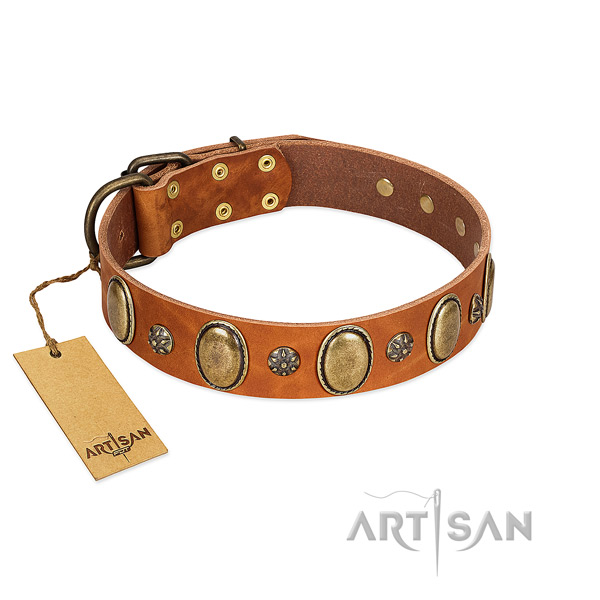 Everyday use gentle to touch leather dog collar with adornments