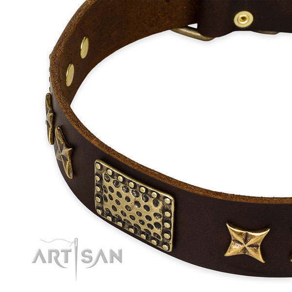 Leather collar with durable buckle for your stylish doggie