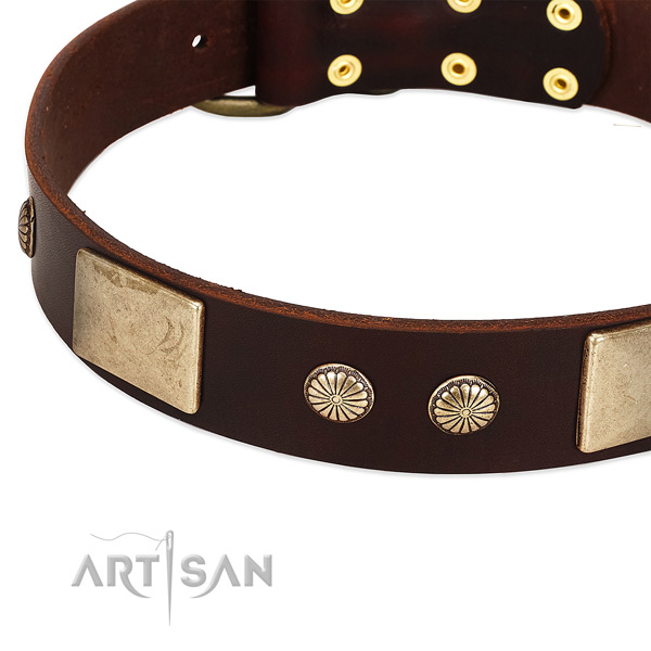 Durable decorations on full grain genuine leather dog collar for your four-legged friend