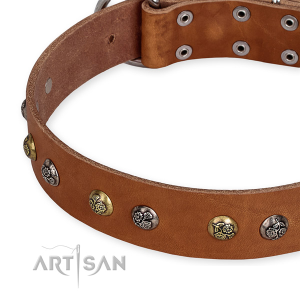 Full grain genuine leather dog collar with trendy reliable embellishments