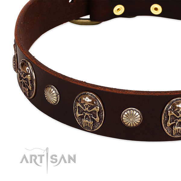 Full grain leather dog collar with embellishments for comfy wearing