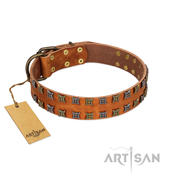 Soft full grain natural leather dog collar with embellishments for your doggie