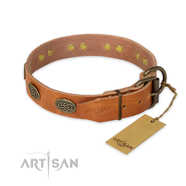 Rust-proof traditional buckle on leather collar for walking your four-legged friend