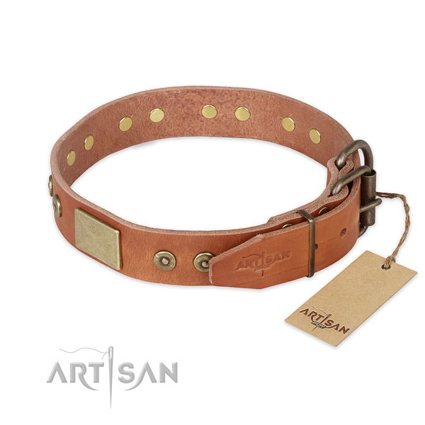 Reliable hardware on full grain natural leather collar for daily walking your four-legged friend