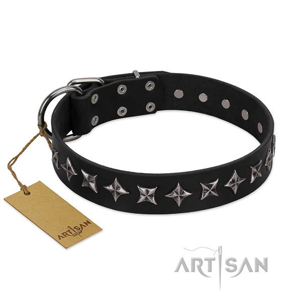 Everyday use dog collar of quality full grain natural leather with adornments