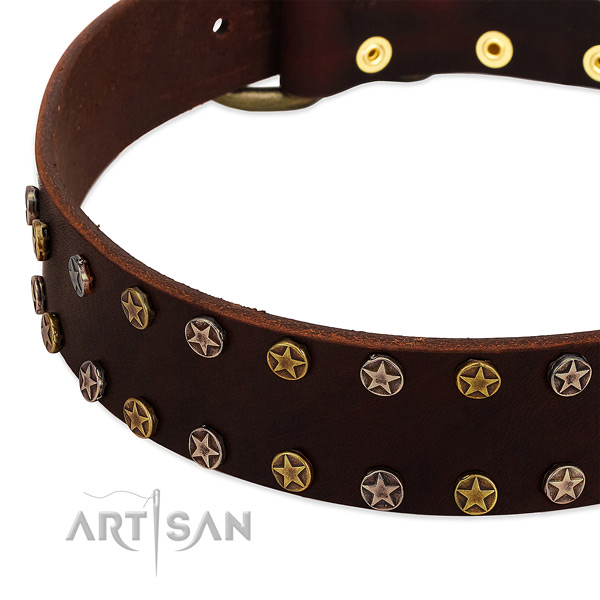 Everyday walking full grain genuine leather dog collar with unusual studs