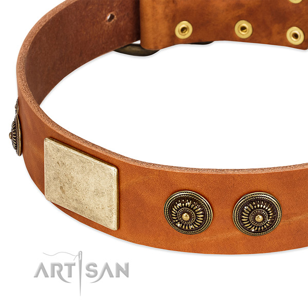 Stylish design dog collar created for your beautiful doggie