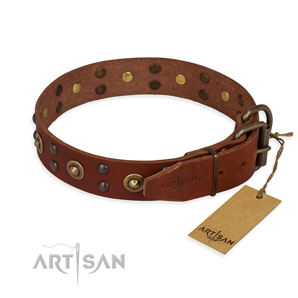 Corrosion proof hardware on leather collar for your impressive dog