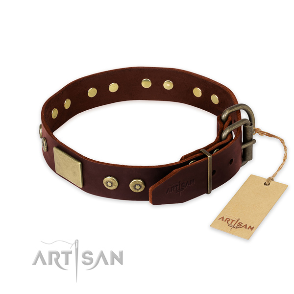Reliable decorations on walking dog collar