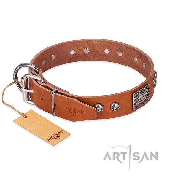 Reliable D-ring on everyday walking dog collar