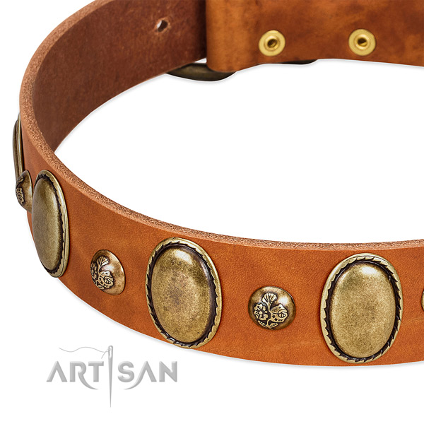 Full grain natural leather dog collar with incredible studs