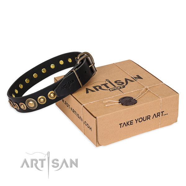 High quality leather dog collar created for stylish walking
