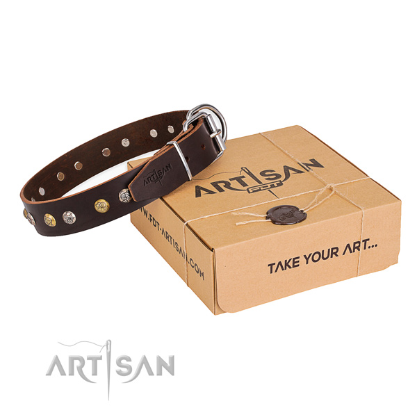 Top rate full grain leather dog collar created for stylish walking