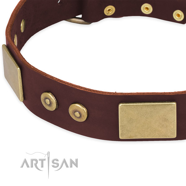Full grain leather dog collar with embellishments for comfy wearing