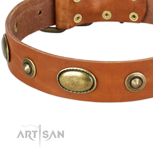 Strong traditional buckle on full grain natural leather dog collar for your pet