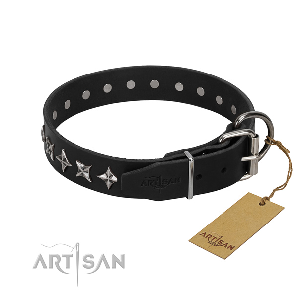 Daily walking studded dog collar of fine quality natural leather