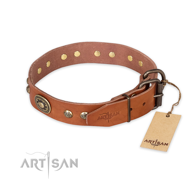Rust resistant buckle on full grain genuine leather collar for daily walking your pet