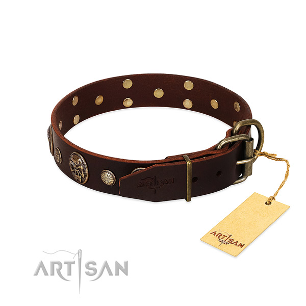 Reliable decorations on walking dog collar