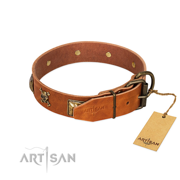 Trendy genuine leather dog collar with durable decorations