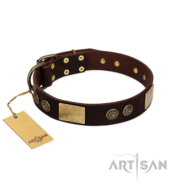 Corrosion proof buckle on genuine leather dog collar for your four-legged friend