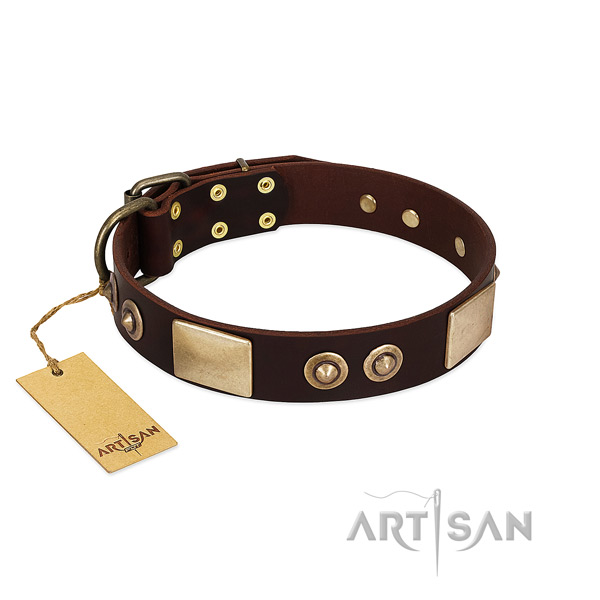 Adjustable leather dog collar for basic training your four-legged friend