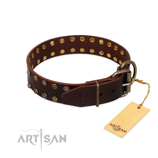 Daily walking full grain genuine leather dog collar with amazing studs