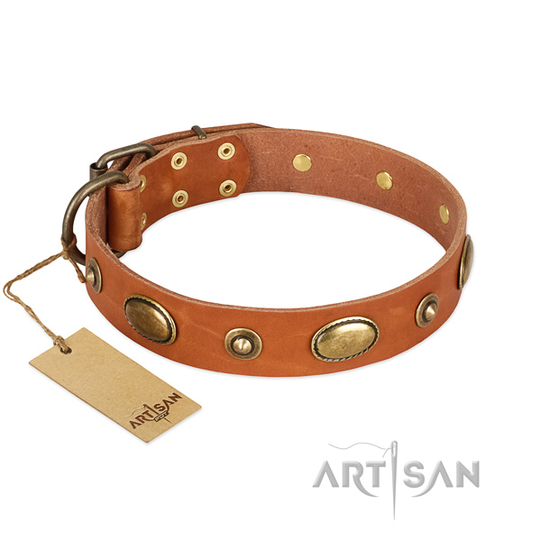 Exceptional leather collar for your canine