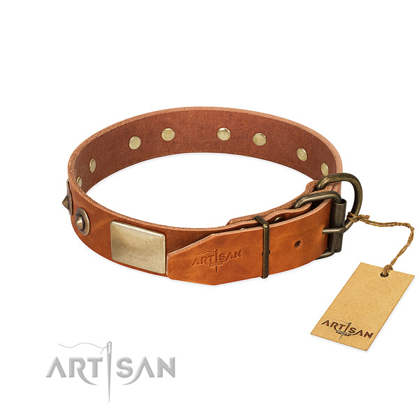Durable fittings on easy wearing dog collar